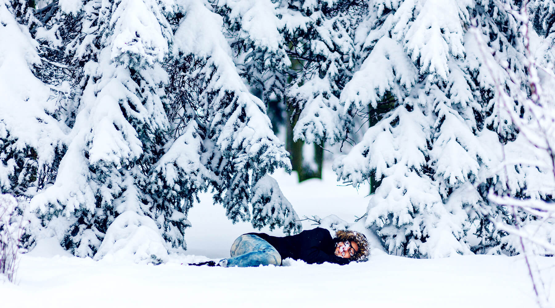 Wie funktioniert der Winterschlaf?